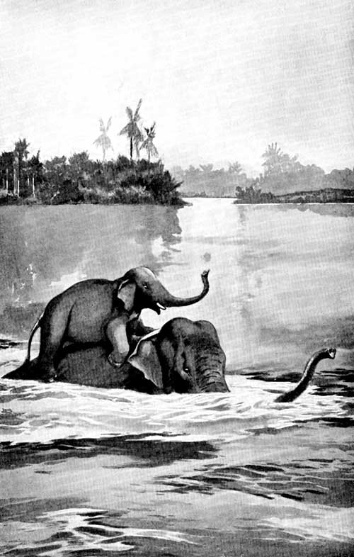 An Elephant Mamma Carrying her Child across the River
