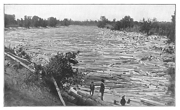 THE LUMBER INDUSTRY&mdash;A LOG JAM