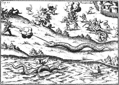 Riesenschlange von 25 Fuß Länge am Paraná (1539)