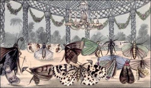 Frontispiece