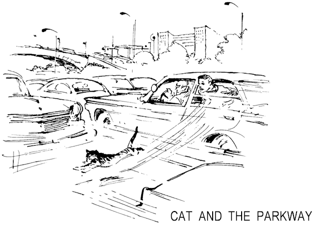 Illustration: Cat jumping out of car on parkway.