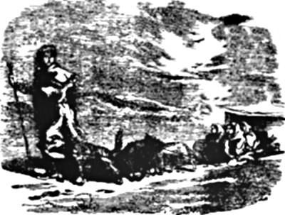 A boy leads a team of dogs pulling people on a sled.