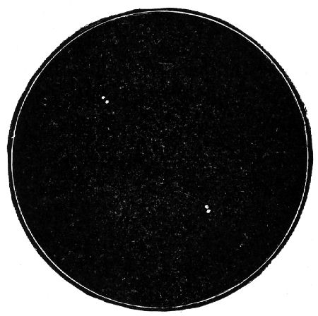 Fig. 19.—Quadruple star ε of the Lyre.