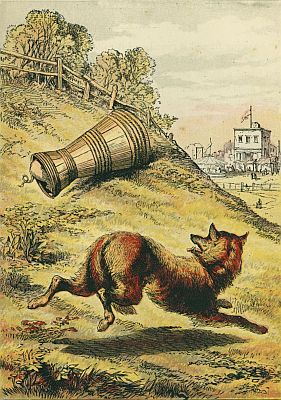 Wolf and the barrel