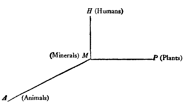 A drawing, like labeling the axes of a three-dimensional space. At the center is “(Minerals) M”. At the top of the Z axis is “H (Humans)”. At the end of the X axis is “P (Plants)”. At the end of the Y axis is “A (Animals)”.