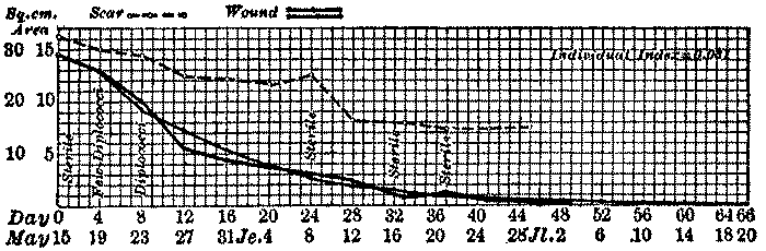 A graph, showing the progress of healing of a surface wound of the right leg of a 31-year-old patient. It shows that as time passes, the wounded area decreases.