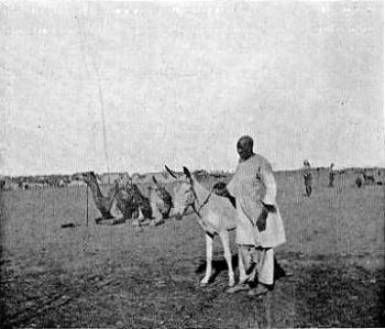 Khalifa's Chief Eunuch (Surrenders in British Camp).