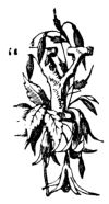 &ldquo;Y