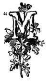&ldquo;M