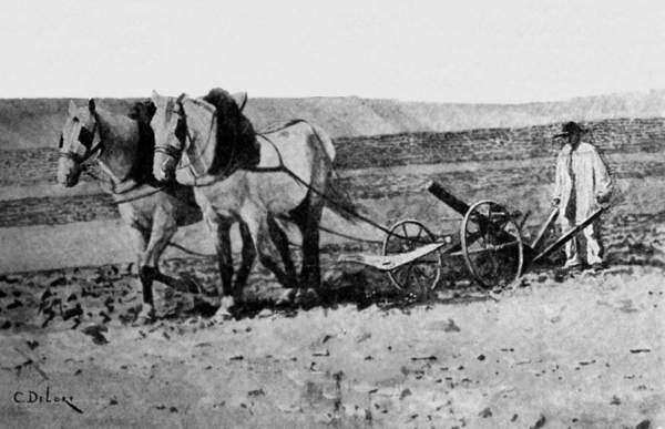 A farmer with two horses pulling a plough.