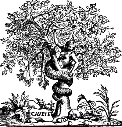 CAVETE / I. C. I