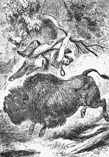 BASIL AND THE BISON-BULL.