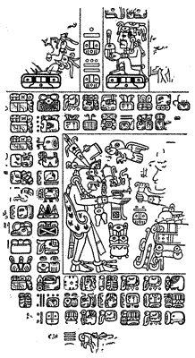 A page from the codex