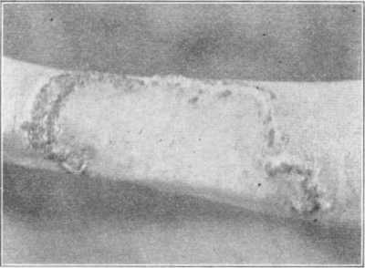 FIG. 58.
