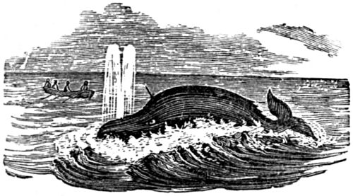A whale, harpooned by a nearby whaling crew, spouts water
