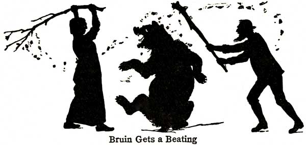 Bruin Gets a Beating