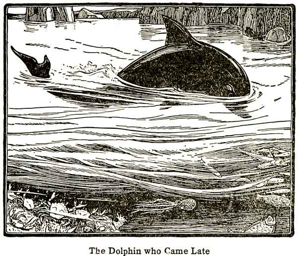 The Dolphin who Came Late