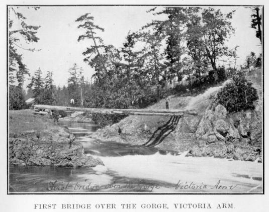 [Illustration: First bridge over the Gorge.]