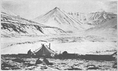 The base camp at about 4,000 feet
on Cache Creek.