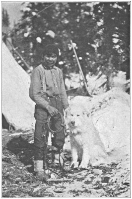 Johnny Fred who kept the base camp and fed the dogs and would not touch the sugar.