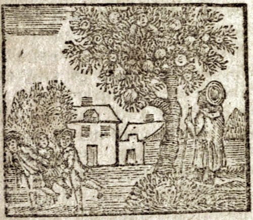 A house and a tree with a man standing under
the tree