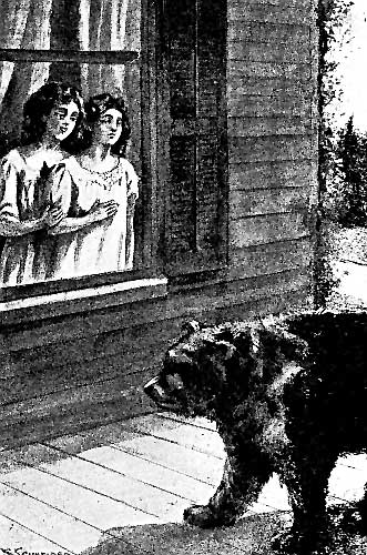 The great animal had now dropped from its upright
position at Dolly’s window and was crawling on all fours back along the
wide porch. (Frontis) (Dorothy on a Ranch)