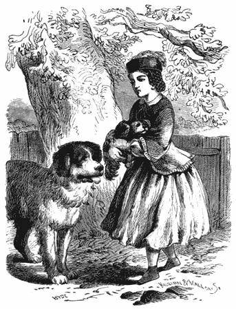 A girl holding a small dog, with a large dog in front of her.
