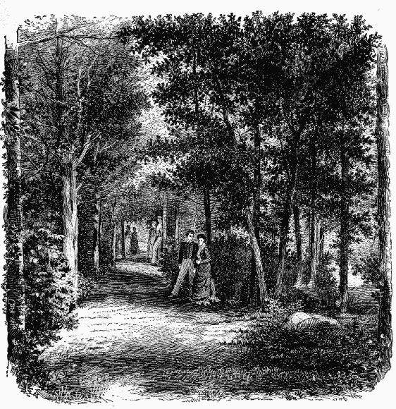 FLIRTATION PATH.
(Photographed by G. W. Pack.)