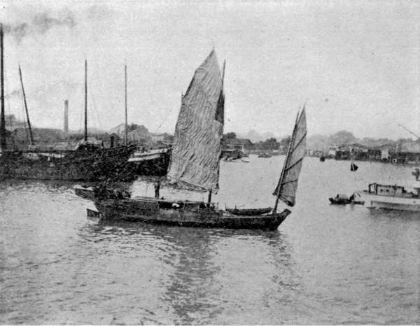 CHINESE JUNKS IN THE HARBOR OF CANTON.