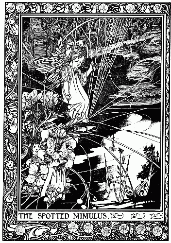 THE SPOTTED MIMILUS. ILLUSTRATION FROM "KING LONGBEARD." BY CHARLES ROBINSON (JOHN LANE. 1897)
