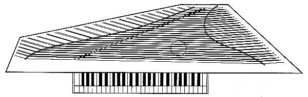 Figure 6.—Soundboard layout of polygonal virginal.
Scale, 1:8.