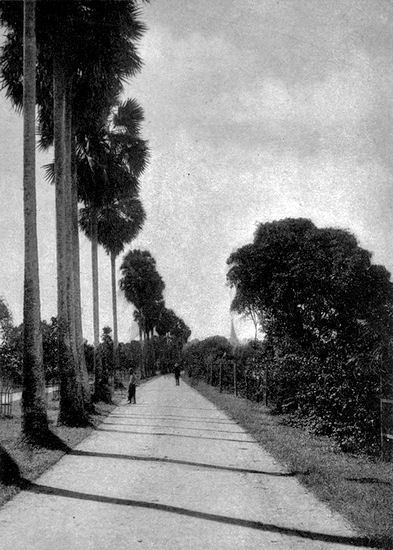 Palm Avenue, Rangoon