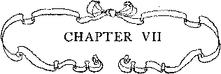 CHAPTER VII