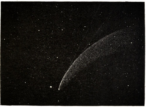 Fig. 73.—Tails of the Comet of 1858.