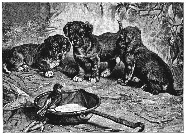 THE PUPPIES AND THE SPARROW