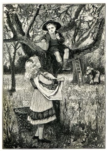 IN THE ORCHARD