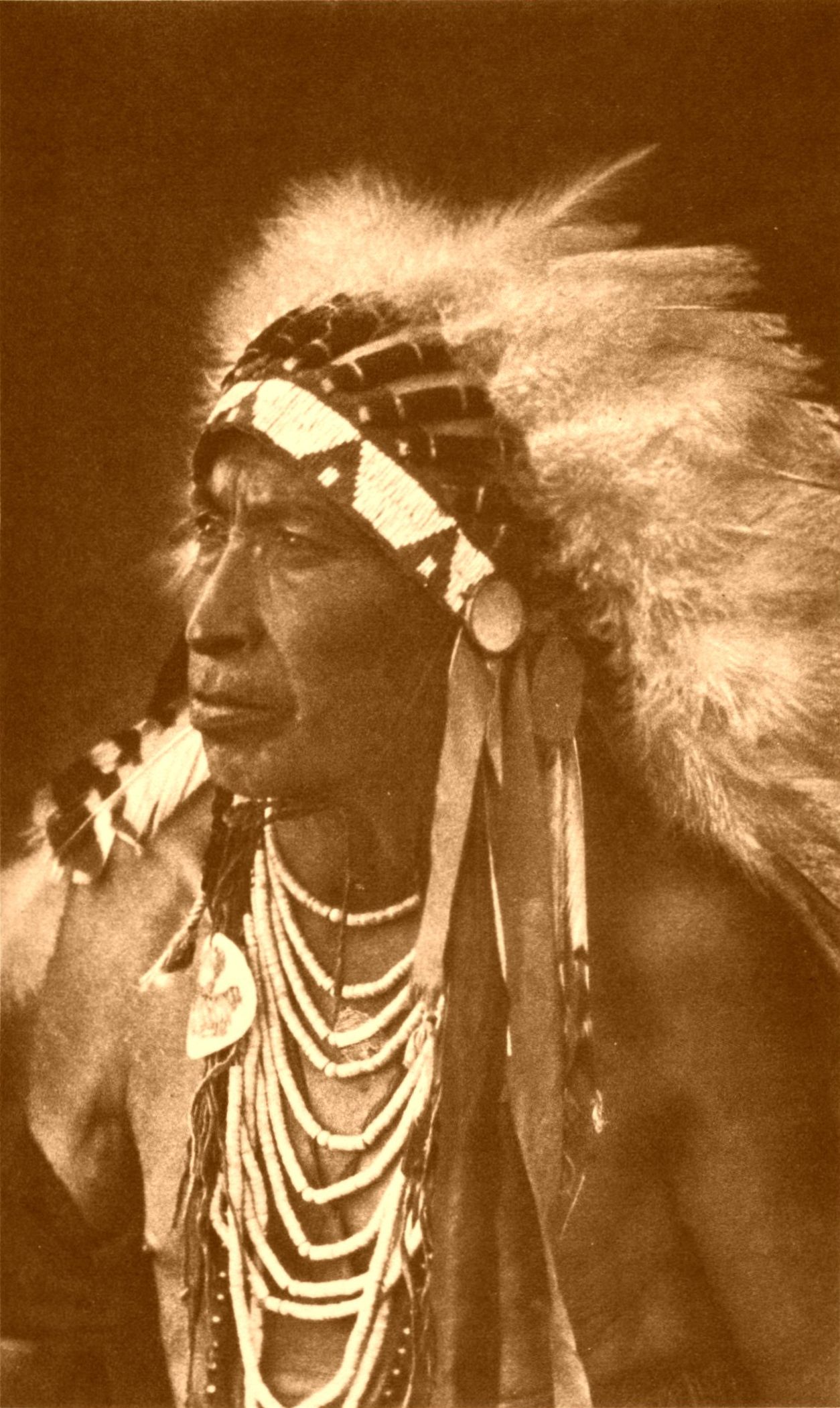 Hairy Moccasin—Custer Scout Hairy Moccasin—Custer Scout