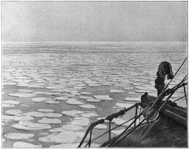 Pannekoek-ijs op de oppervlakte der zee. Dit is de eerste formatie van het ijs op zee.
