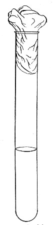 Fig. 119.—Straight tube.