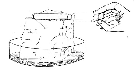 Fig. 120. Esmarch's roll culture on block of
ice.