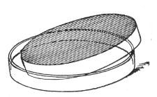 Fig. 128.—Drying surface plate of agar.