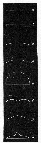Fig. 143.—Surface elevation of colonies: a, Flat; b,
raised; c, convex; d, pulvinate; e, capitate; f, umbilicate;
g, conical; h, umbonate.