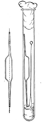 Fig. 15.—Blood pipettes and hair-lip pin in a
test-tube.