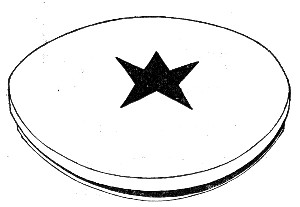 Fig. 159.—Plate with star for testing effect of light.