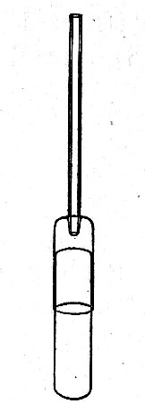 Fig. 185.—Making celloidin capsules.