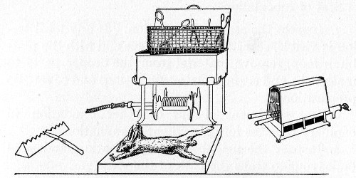 Fig. 197.—Apparatus for post-mortem examination, animal
on board.