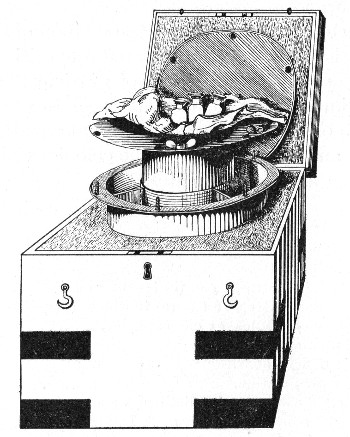 Fig. 205.—Ice-box for transmission of water samples,
etc.