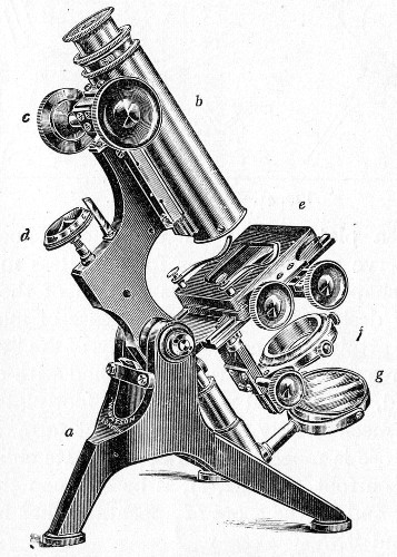Fig. 40.—Microscope stand.