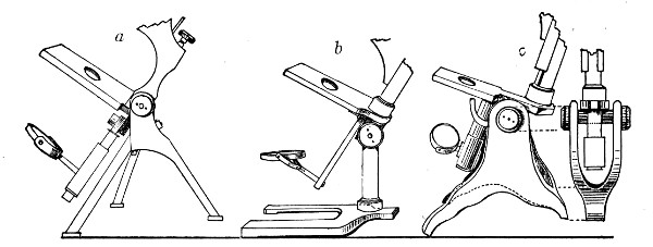 Fig. 41.—Foot, three types.