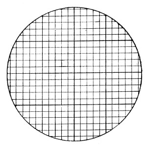 Fig. 57.—Eyepiece micrometer, net.